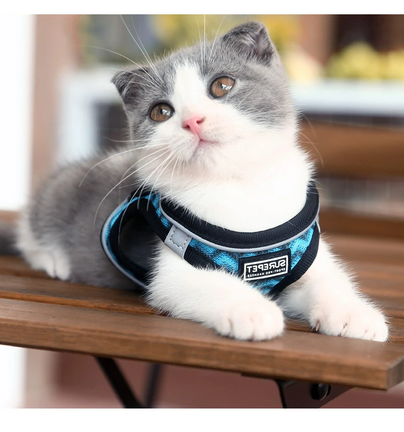 Wholesale breathable mesh cat and small dog harness featuring a 3-layer high-rebound foam structure and reflective strips. Escape-proof pet vest for B2B supplies.