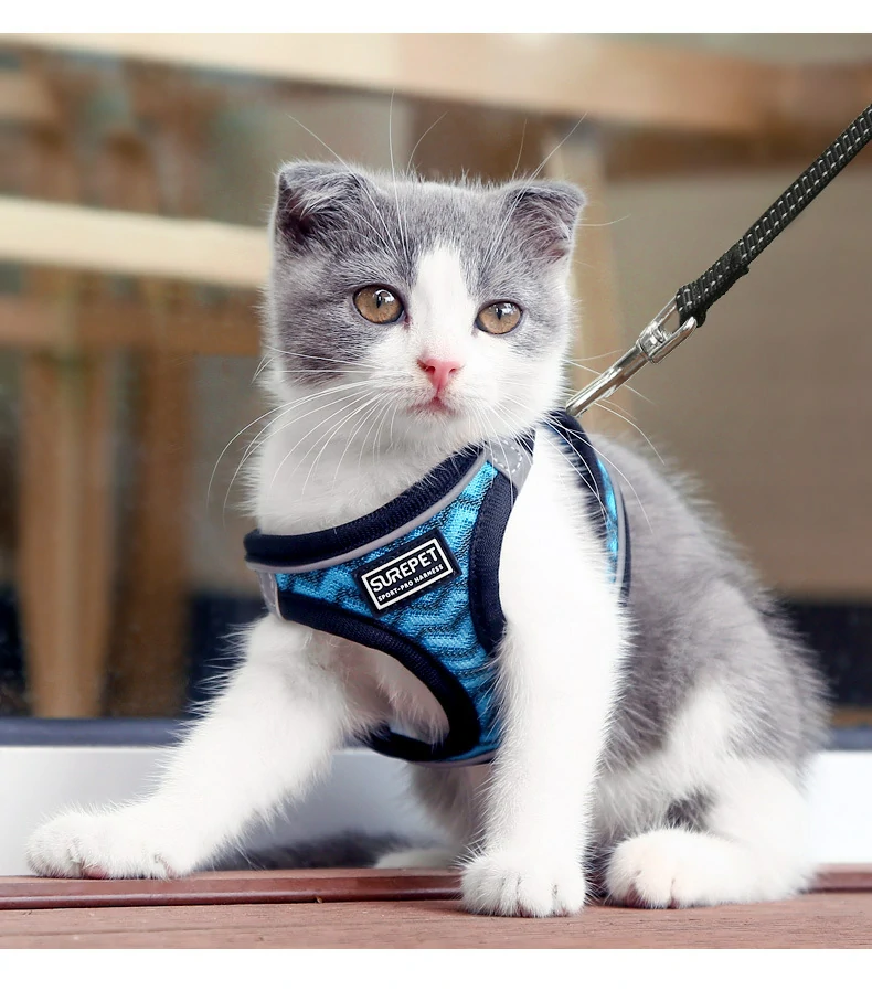 Custom Breathable Mesh Cat & Small Dog Harness | Wholesale Pet Vest - Image 3
