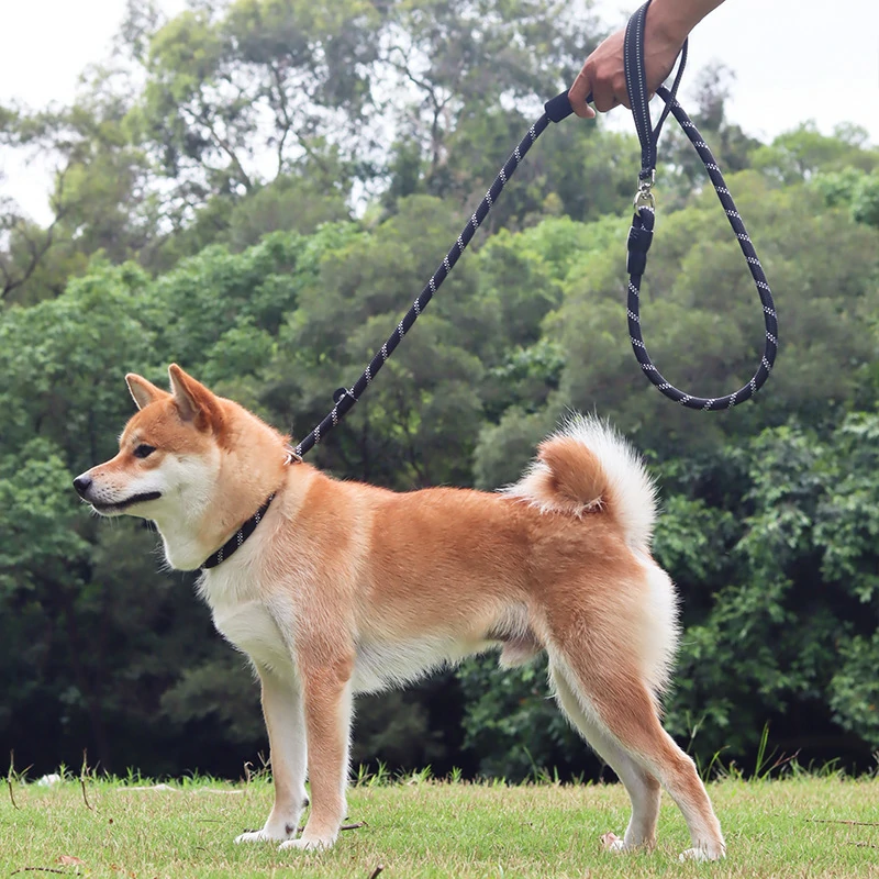 Custom Nylon Slip Lead Dog Leash | Wholesale Anti-Pull Training Leash - Image 5